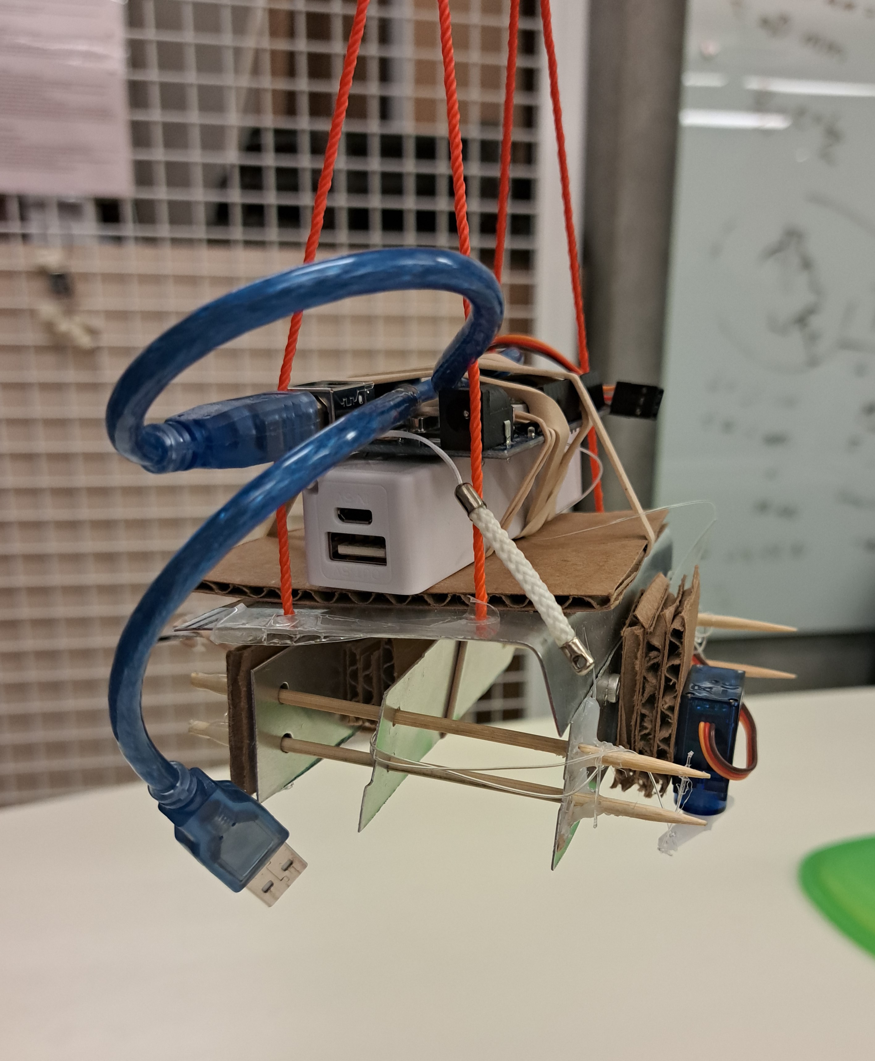 Photo of another Claw